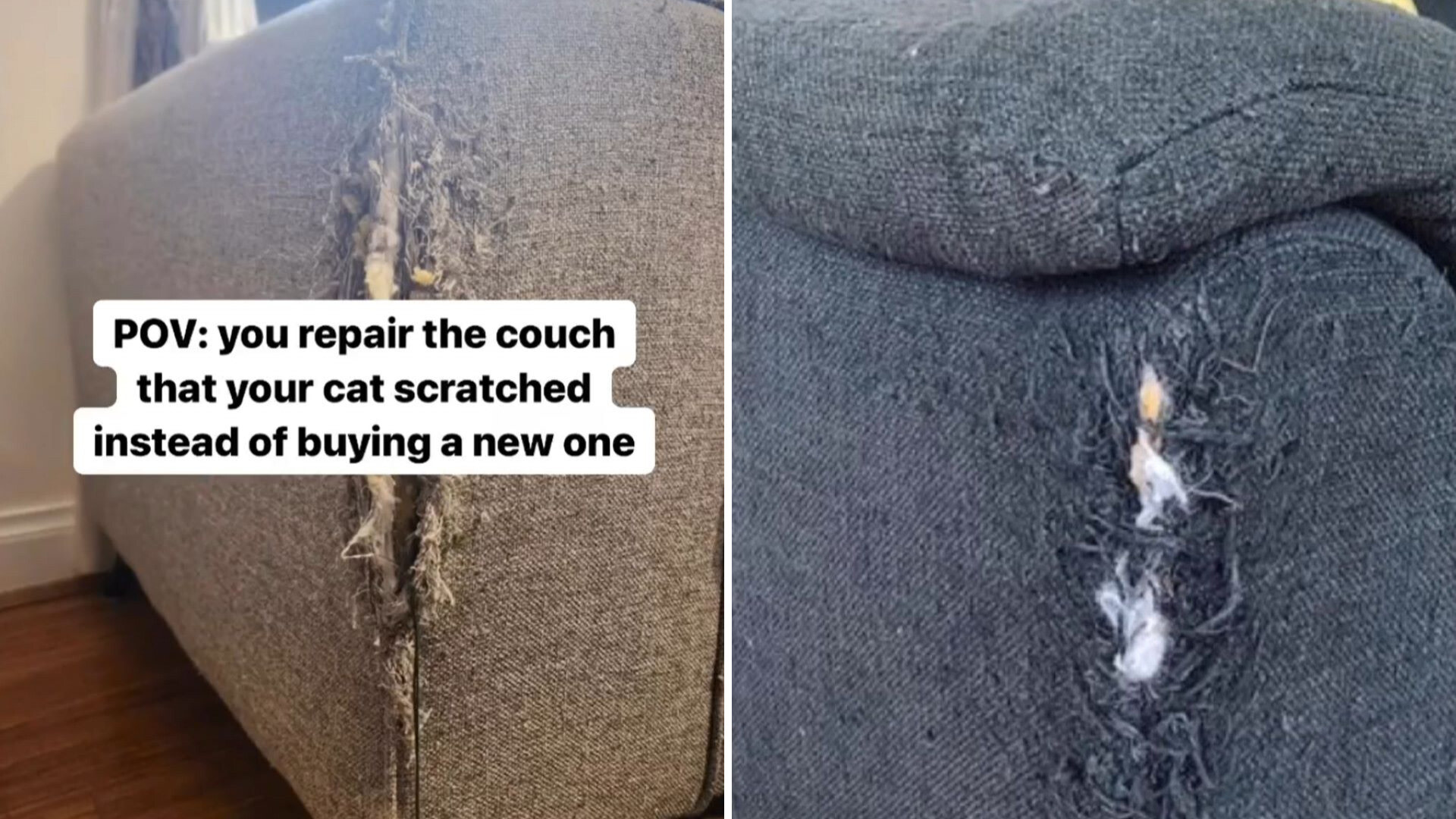 How to fix a couch damaged by a cat. : r/Unexpected
