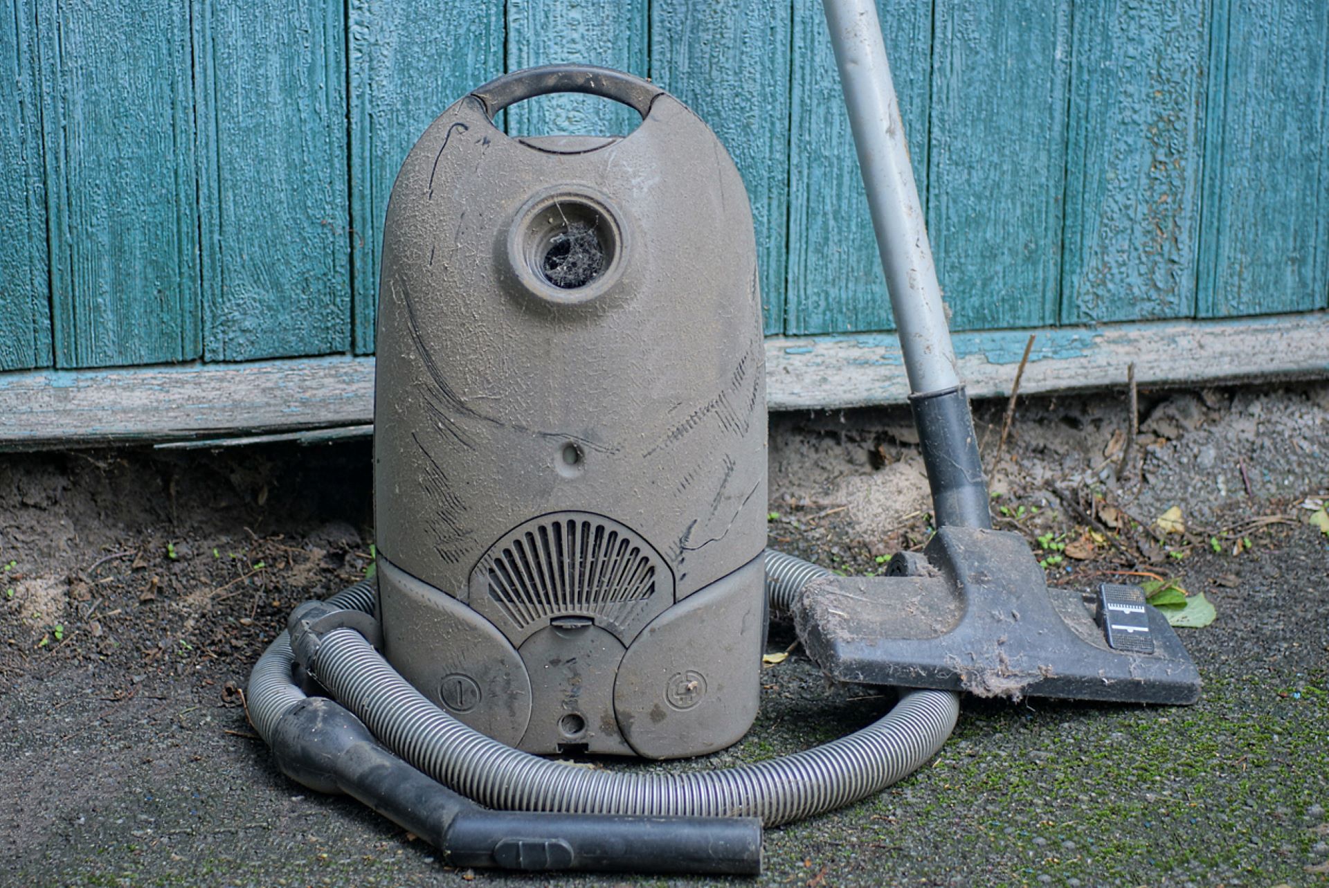 Henry vacuum into an 'adorable' planter