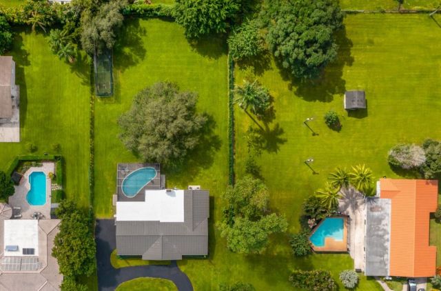 Homeowner shares progress photo of the 'beautiful' lawn