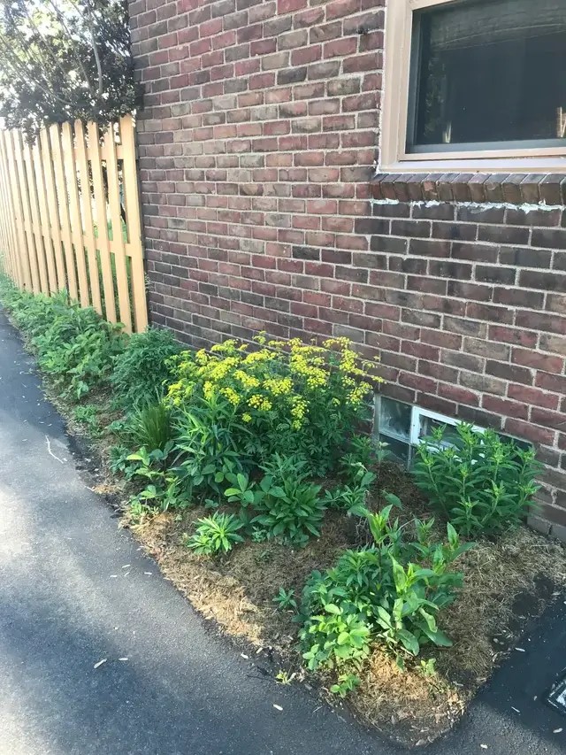 Homeowner shares striking before-and-after photos of their curb-appeal ...