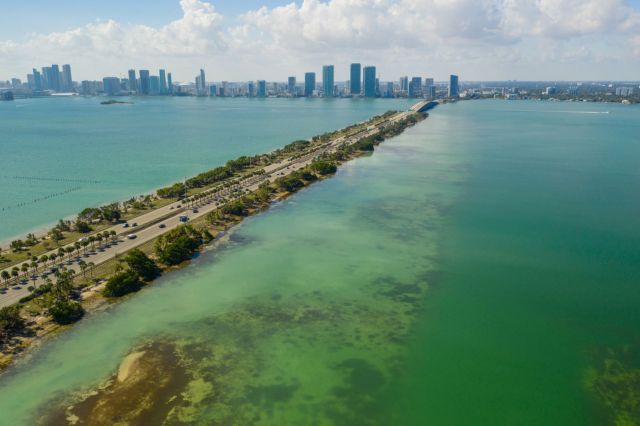 Seagrass, Ecosystem is being destroyed by avoidable human actions