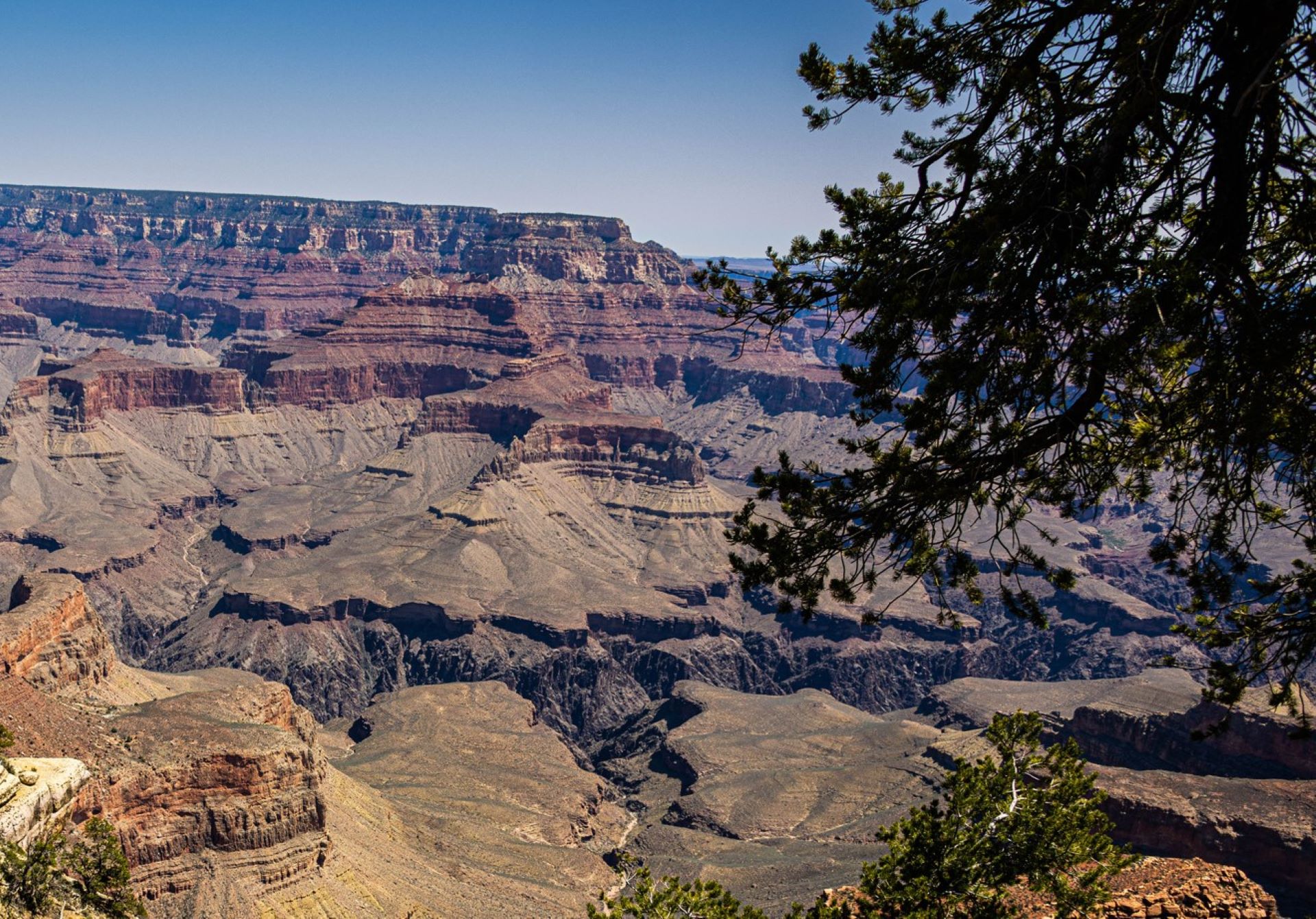 This death in the Grand Canyon was not the only one this year.