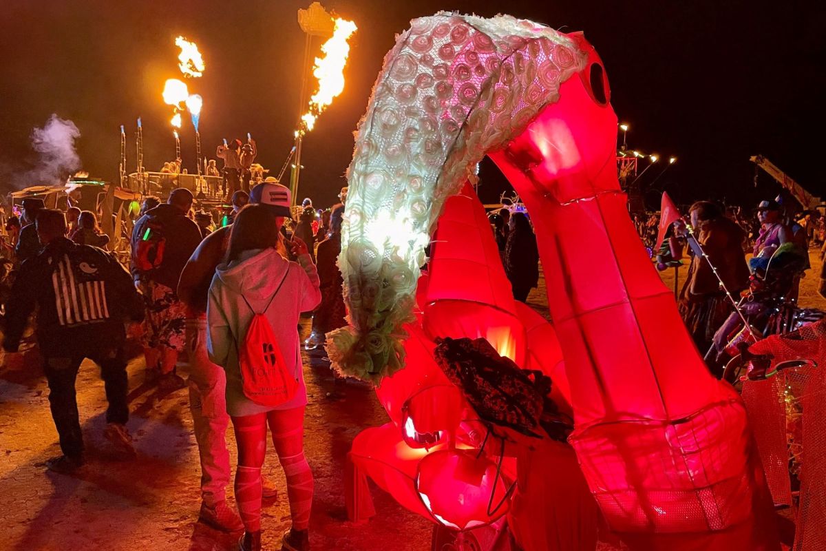 Burning Man festival
