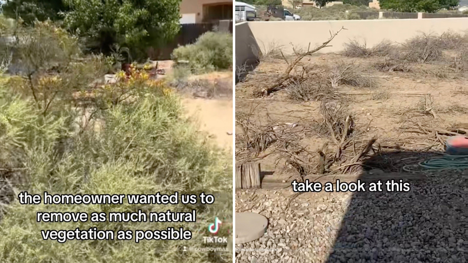 Goat ranch, Helpers to landscape backyard