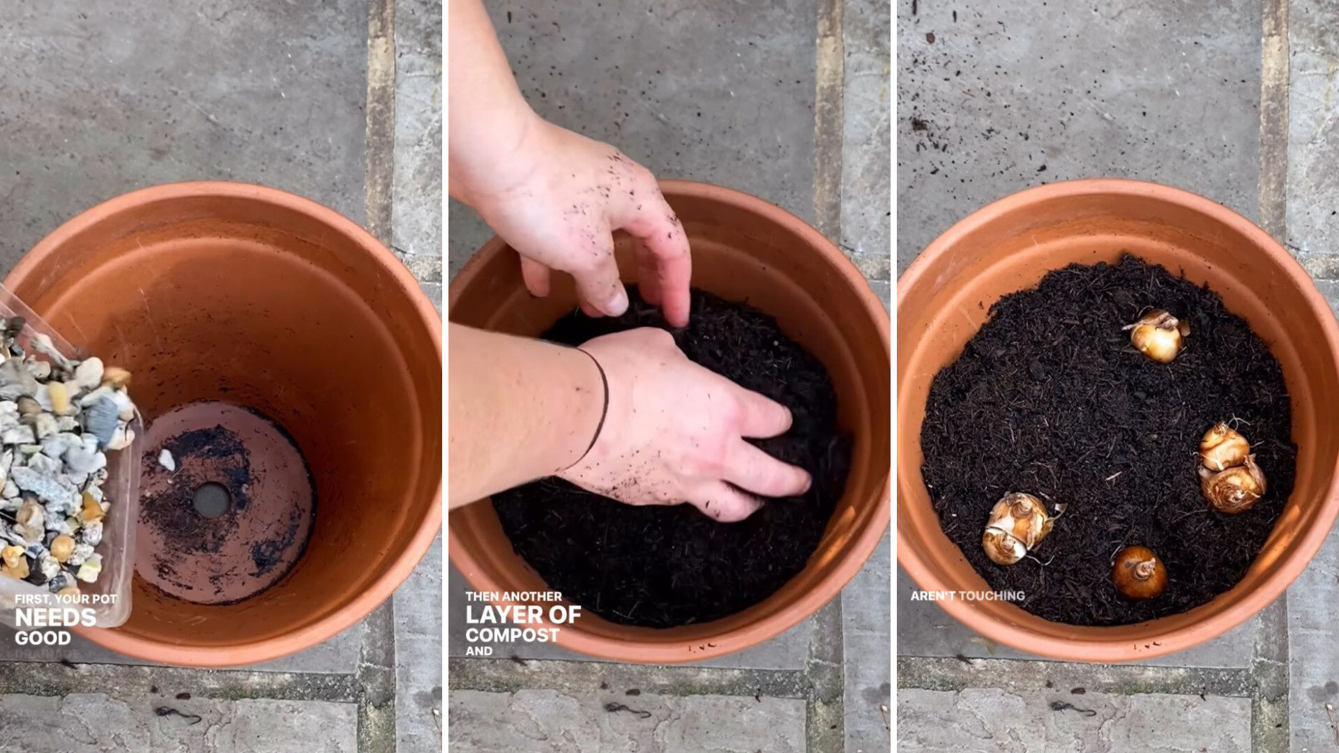 Flower pot, Potting method to ensure plentiful spring bloom