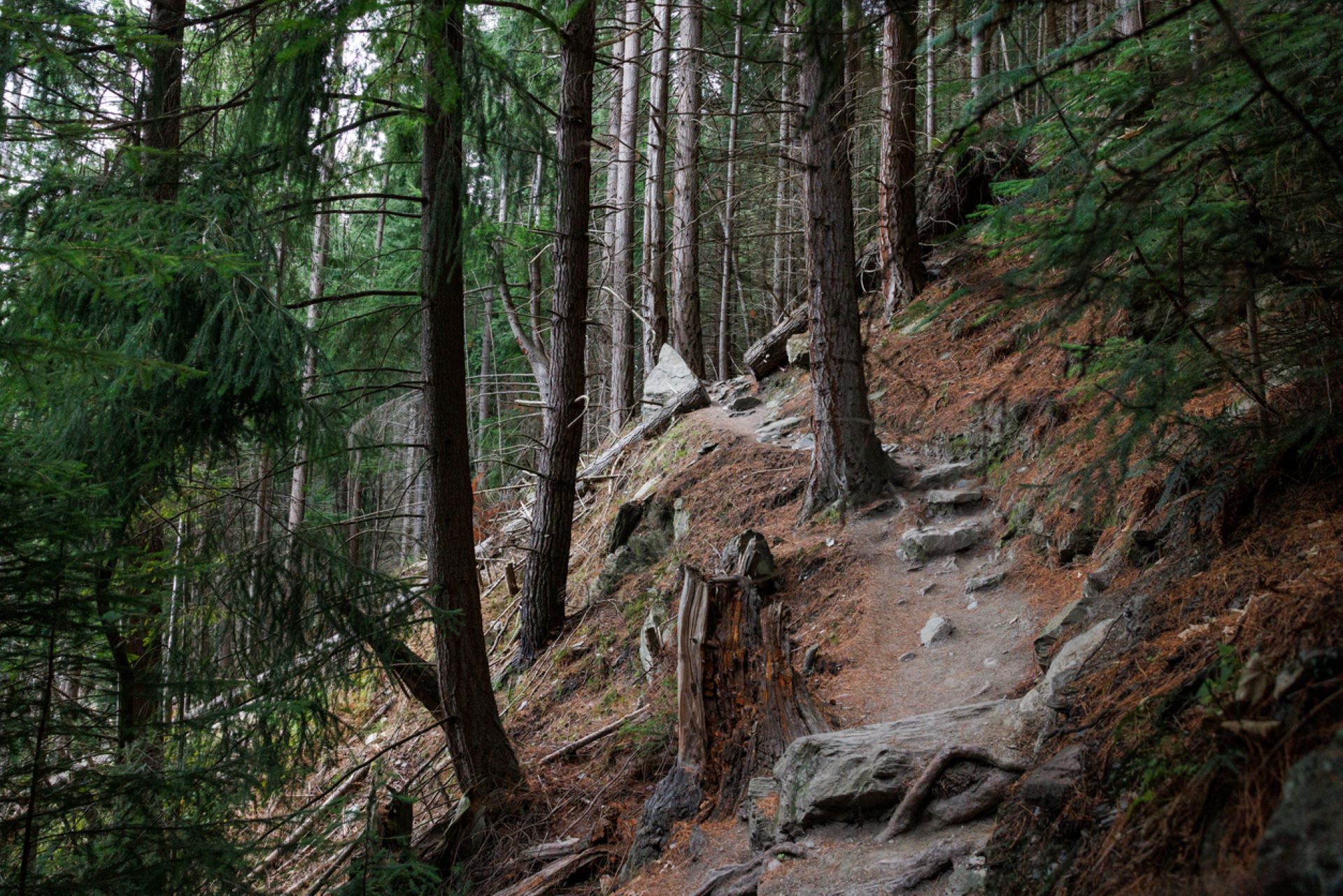 Woman Perplexed By Mysterious Source Of Foul Odor On Nature Walk What   UzgXUnLSHiuK 