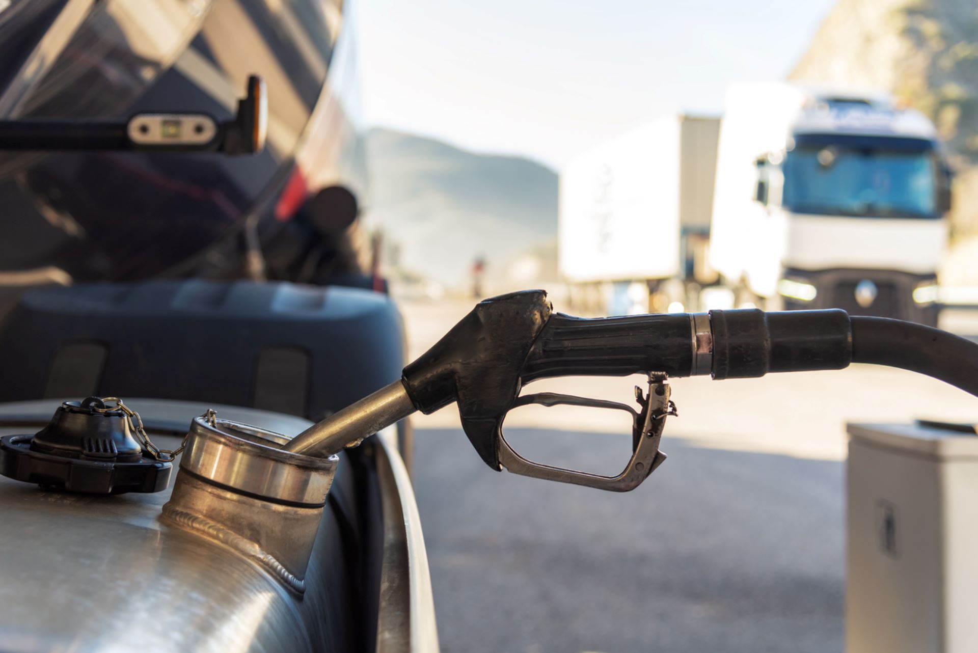 Wasps nest, Foolish TikTok gasoline hack