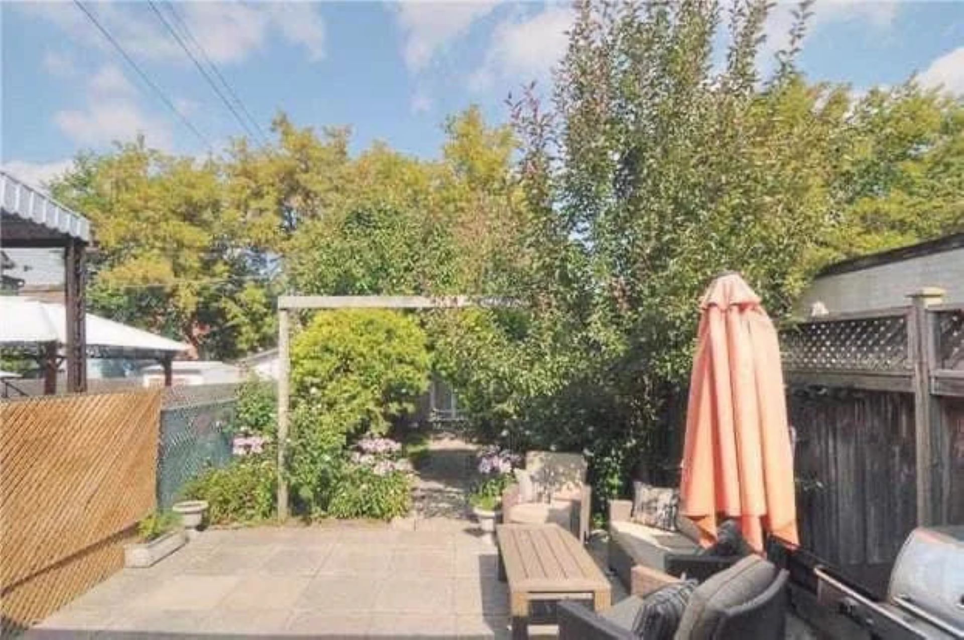 Proud homeowner shares before photos after rejuvenating their yard