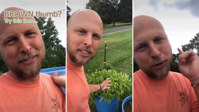 Gardener warns against a major mistake that may be killing your plants