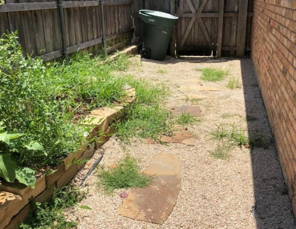 Side yard looks unrecognizable in mind-blowing