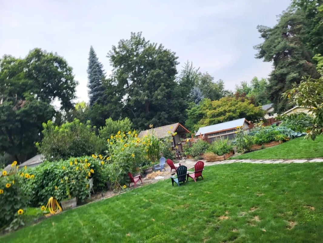 Yard transformation that left them stunned by their own work, Lush garden