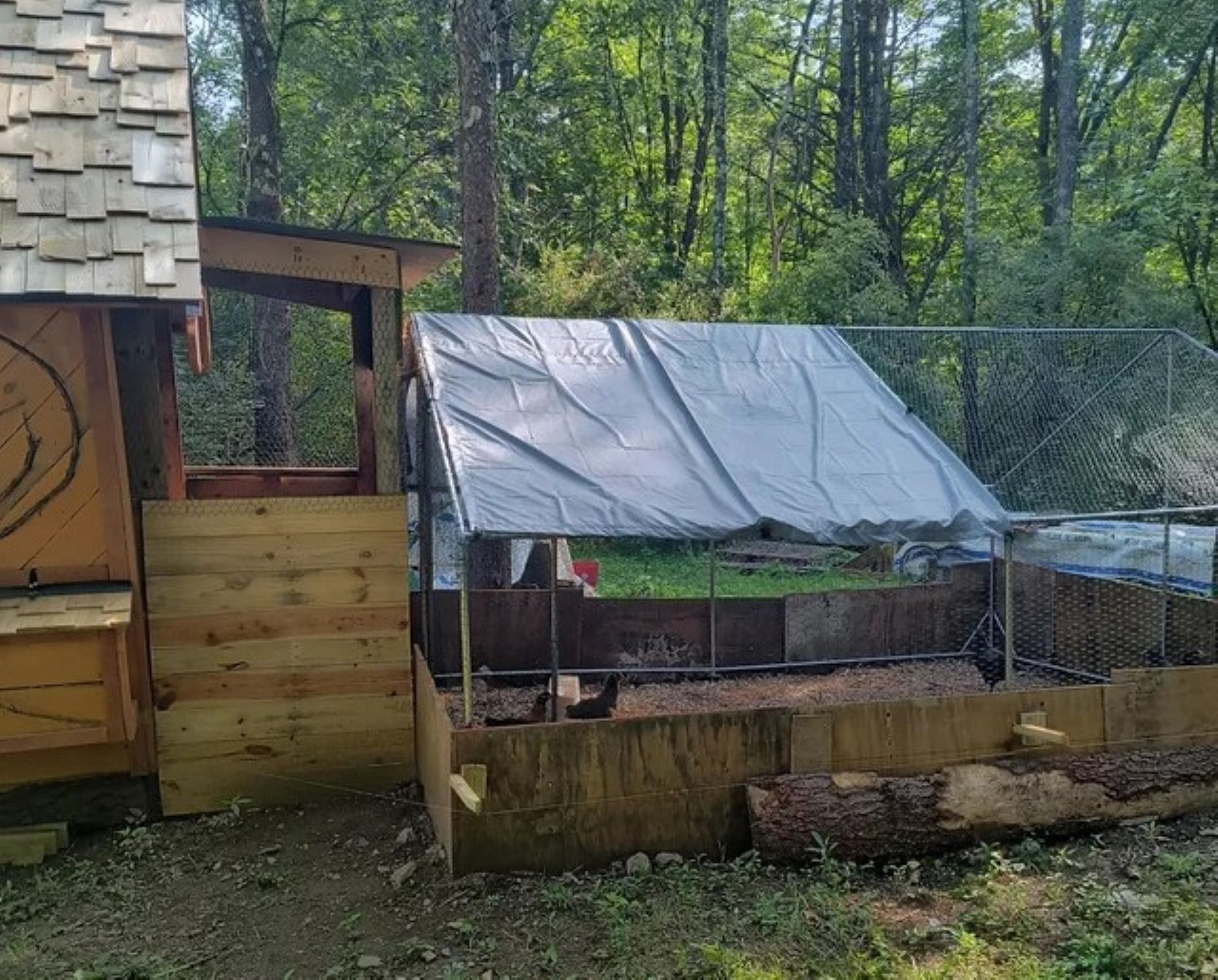 Magnificent chicken coop built with scrap wood