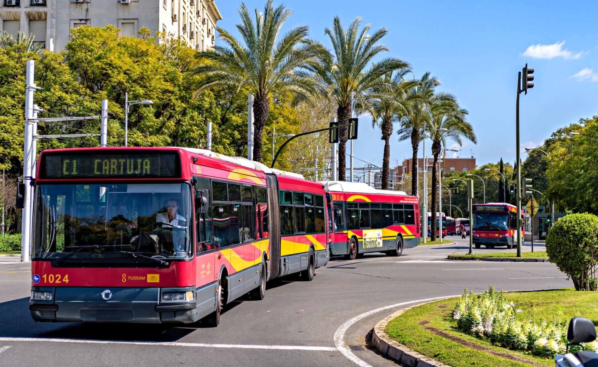 Scientists invent new sun-powered bus stop with a life-saving feature