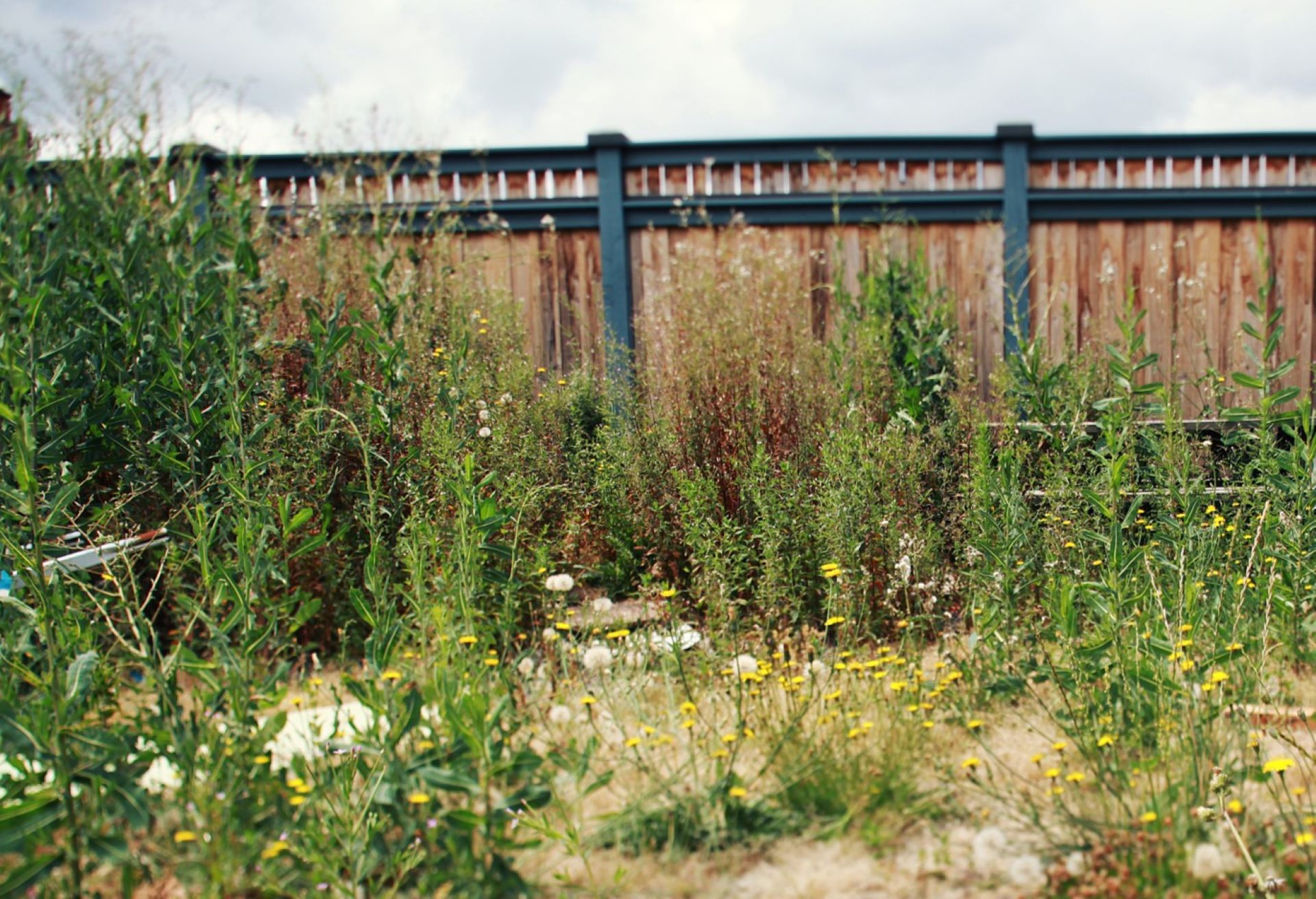 Gardener catches nightmare neighbor tossing cigarette butts into their food plants