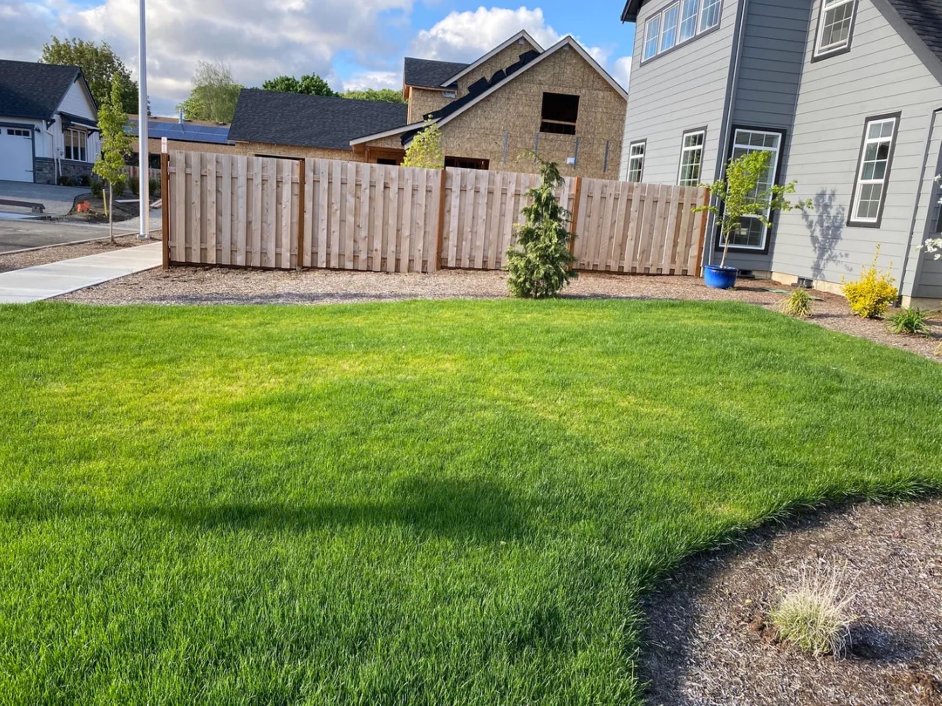 No lawns, Front yard's drastic makeover through stunning