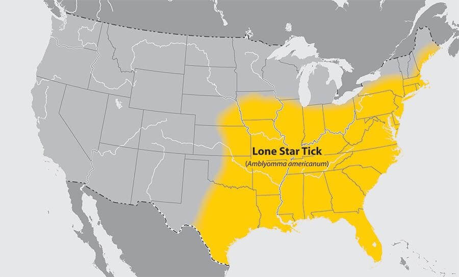 Map illustrates startling spread of tick 