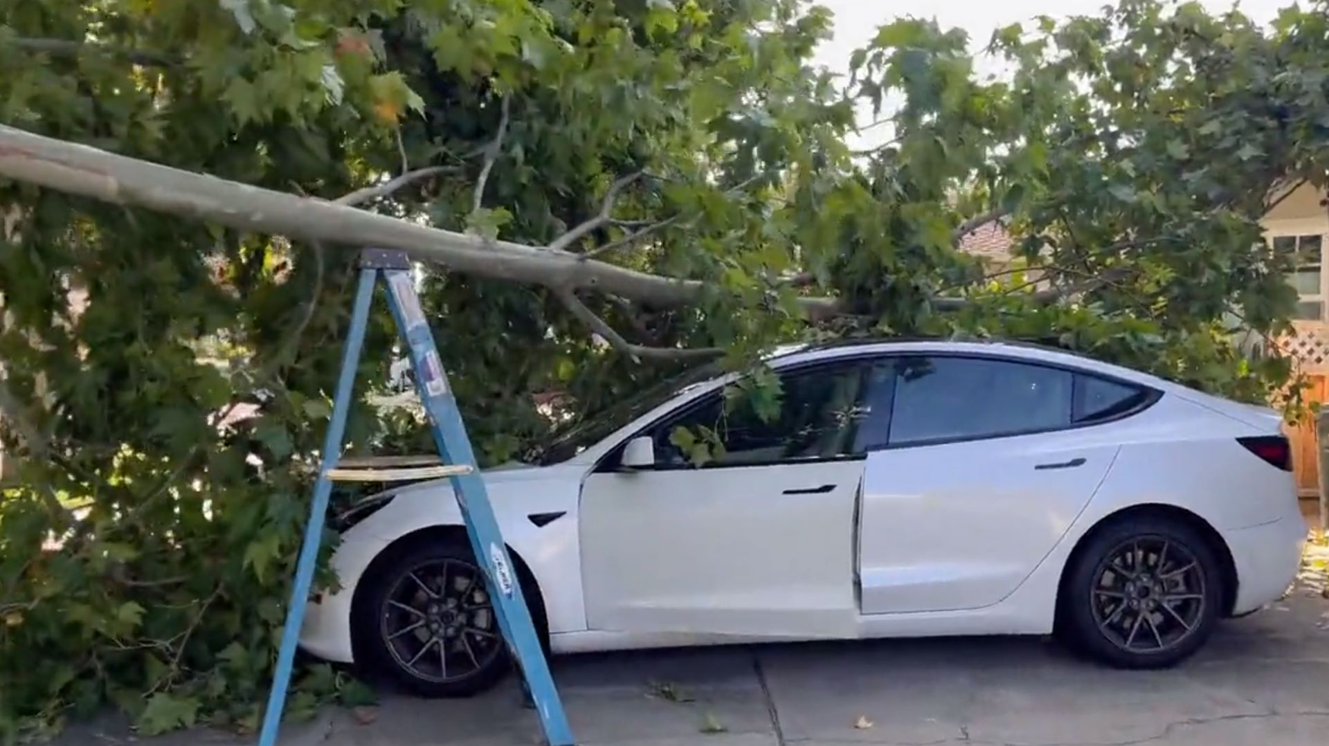 Video shows 'impressive' Tesla feature in light of major disaster: 'The car seems to be doing fairly [all right]'