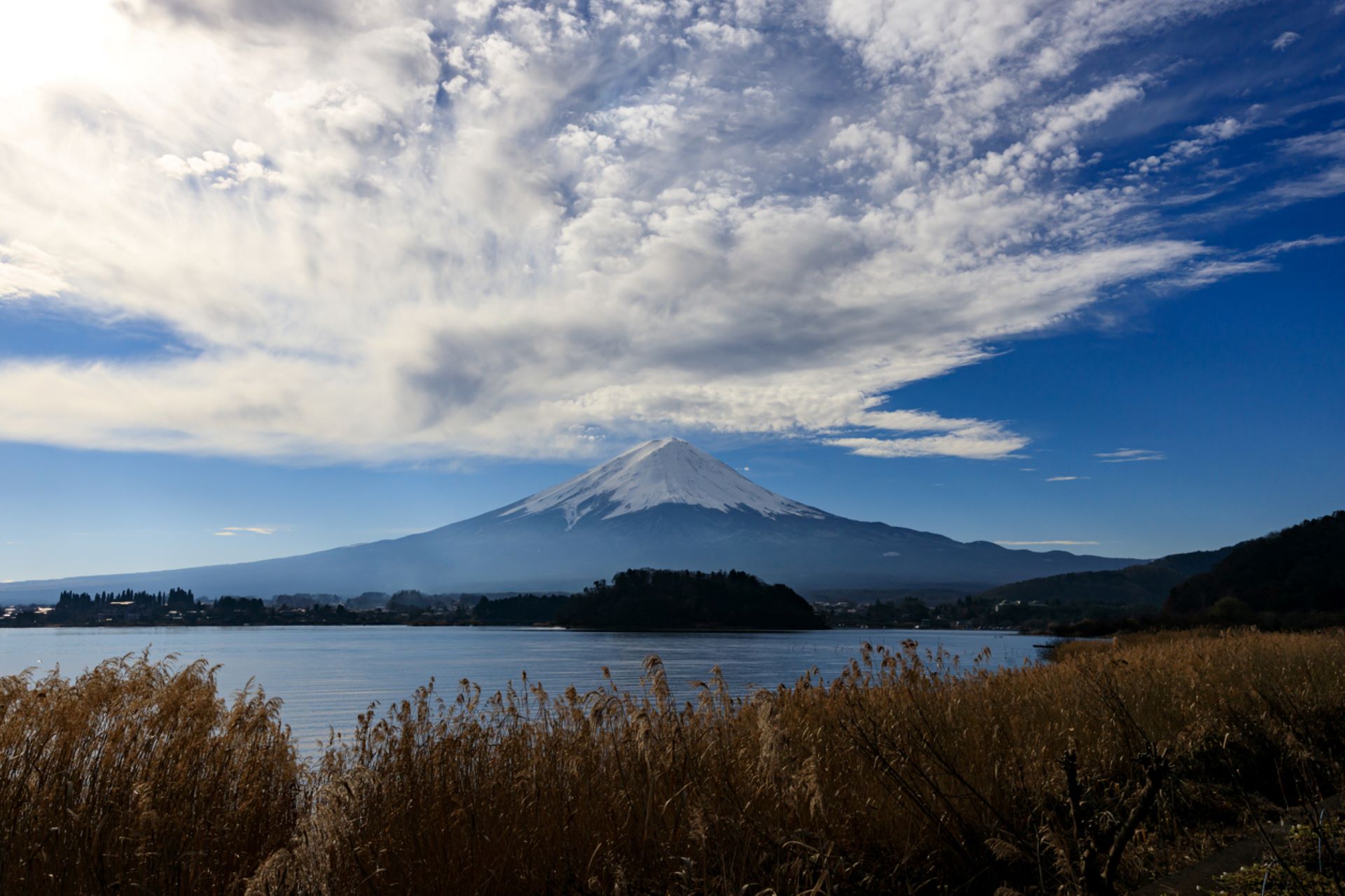 The Japanese scientists behind the study climbed two mountains and took samples from the cloud mist that surrounds the peaks.