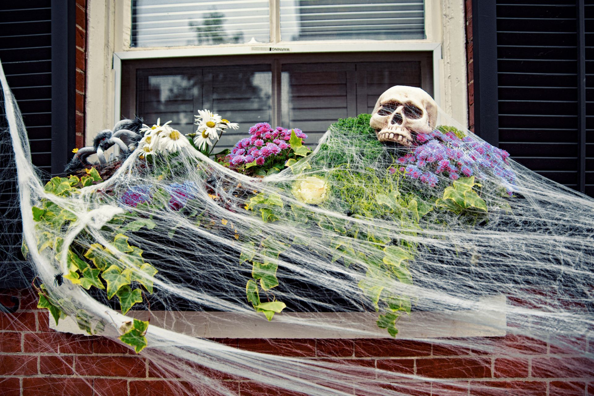 Experts warn of Halloween decoration horrors for wildlife.