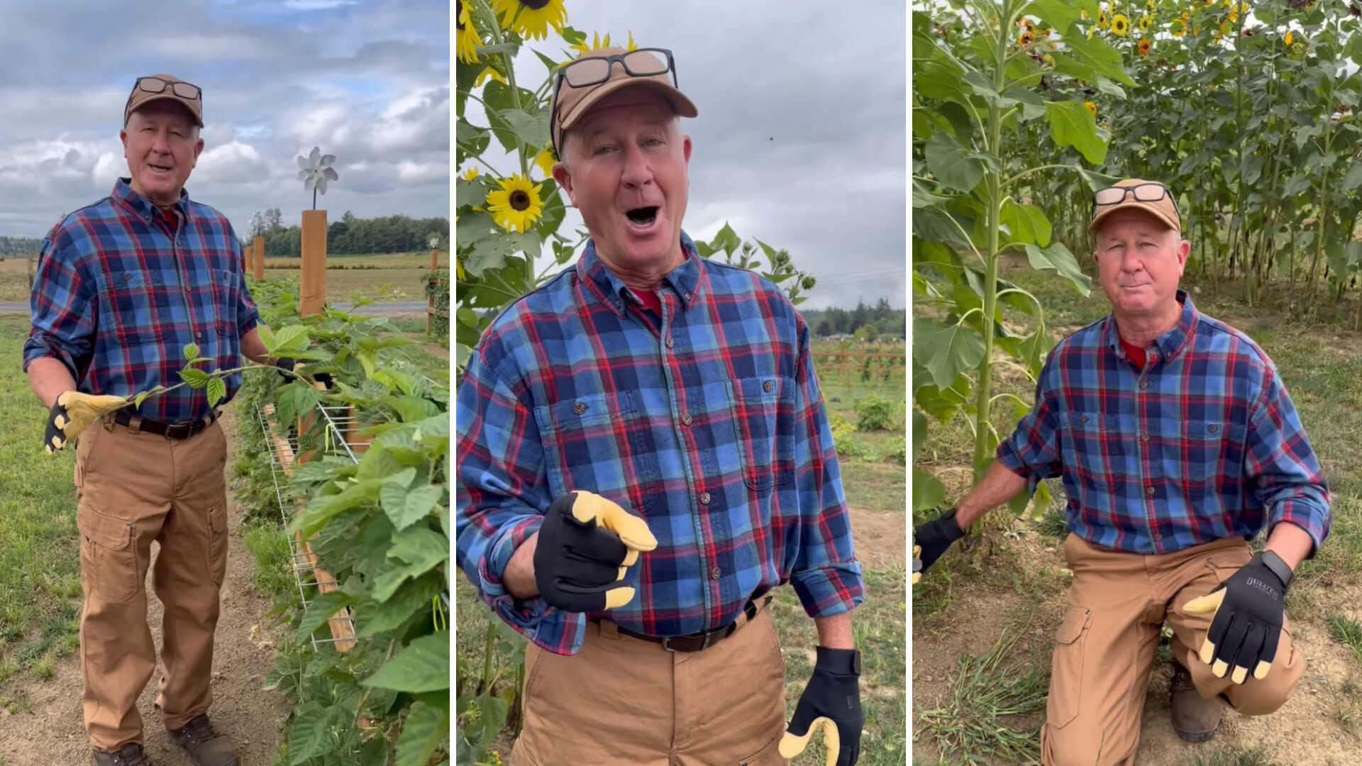 "The best gardeners make mistakes each year."