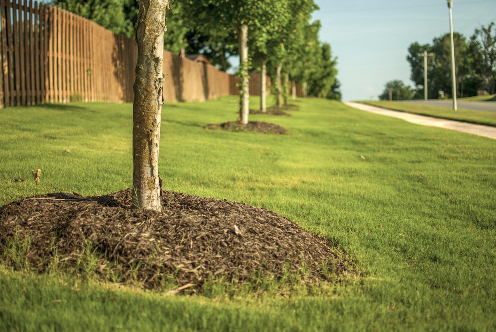 "Anyone that has professional landscapers has that happen."