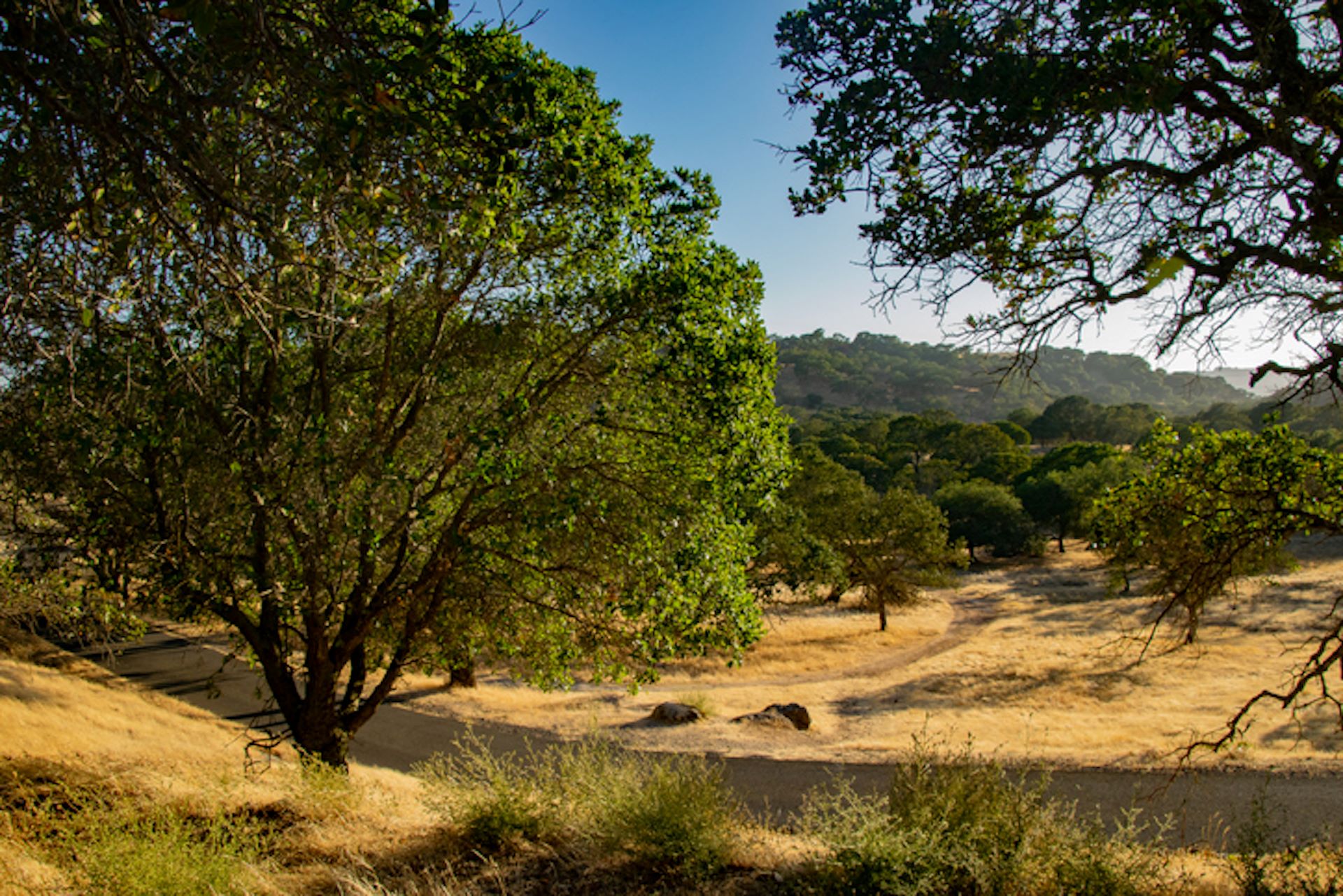 A group of mysterious, ultra-wealthy tech tycoons is building a city of the future on acres of farmland: 'No one knows who they are'