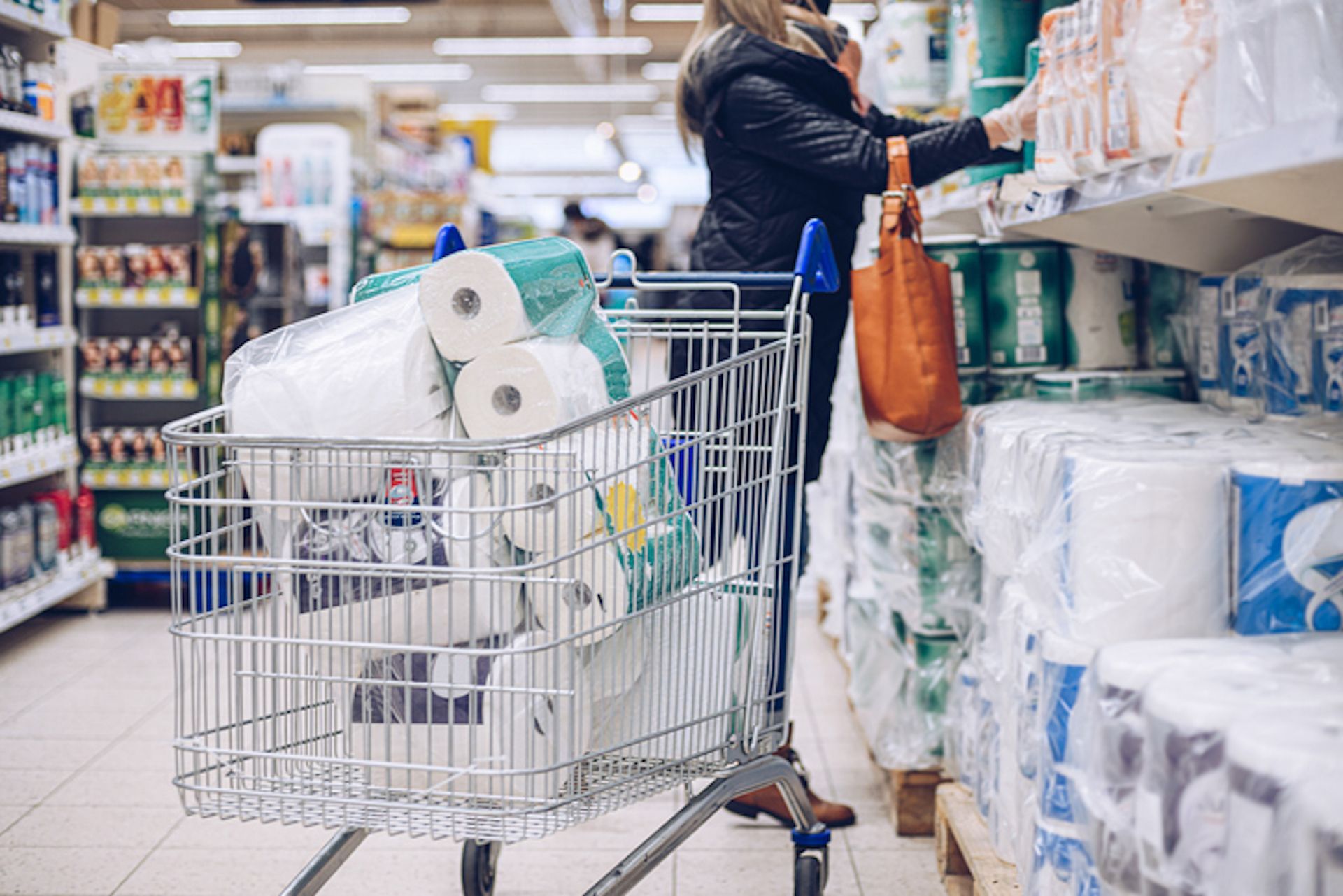 New report uncovers dirty truth about beloved toilet paper brands: 'Must take urgent action'