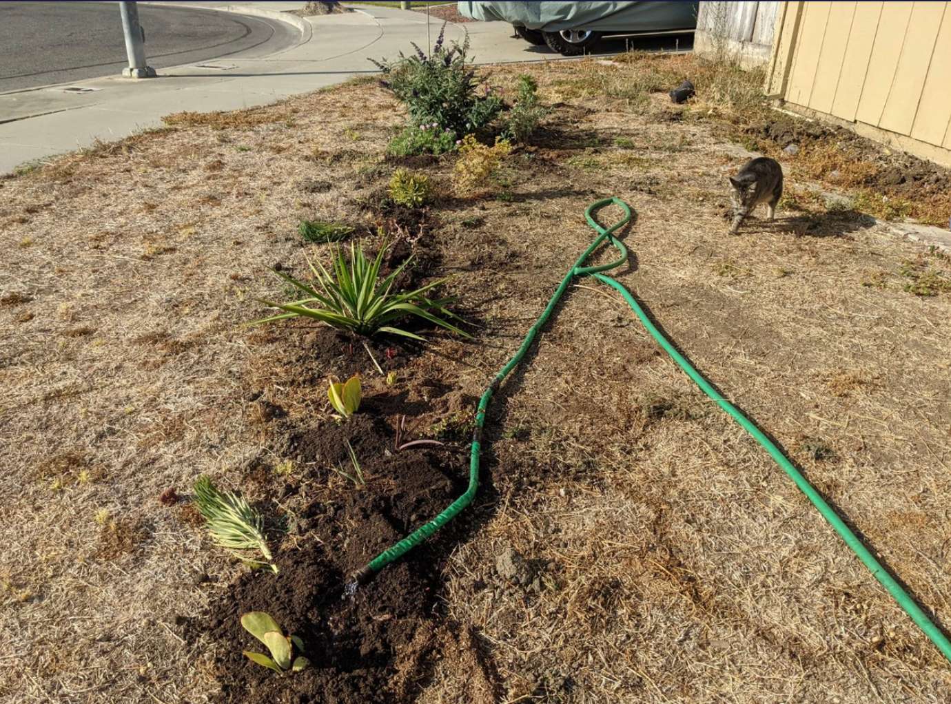 “It was odd letting the lawnmower go once I'd finally given up on the grass."