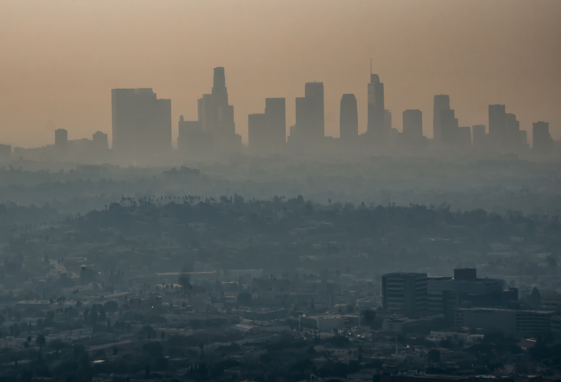 "There are many studies that examine the effects of individual nature-based solutions, but this merges all of them and analyzes the potential systemic effect."