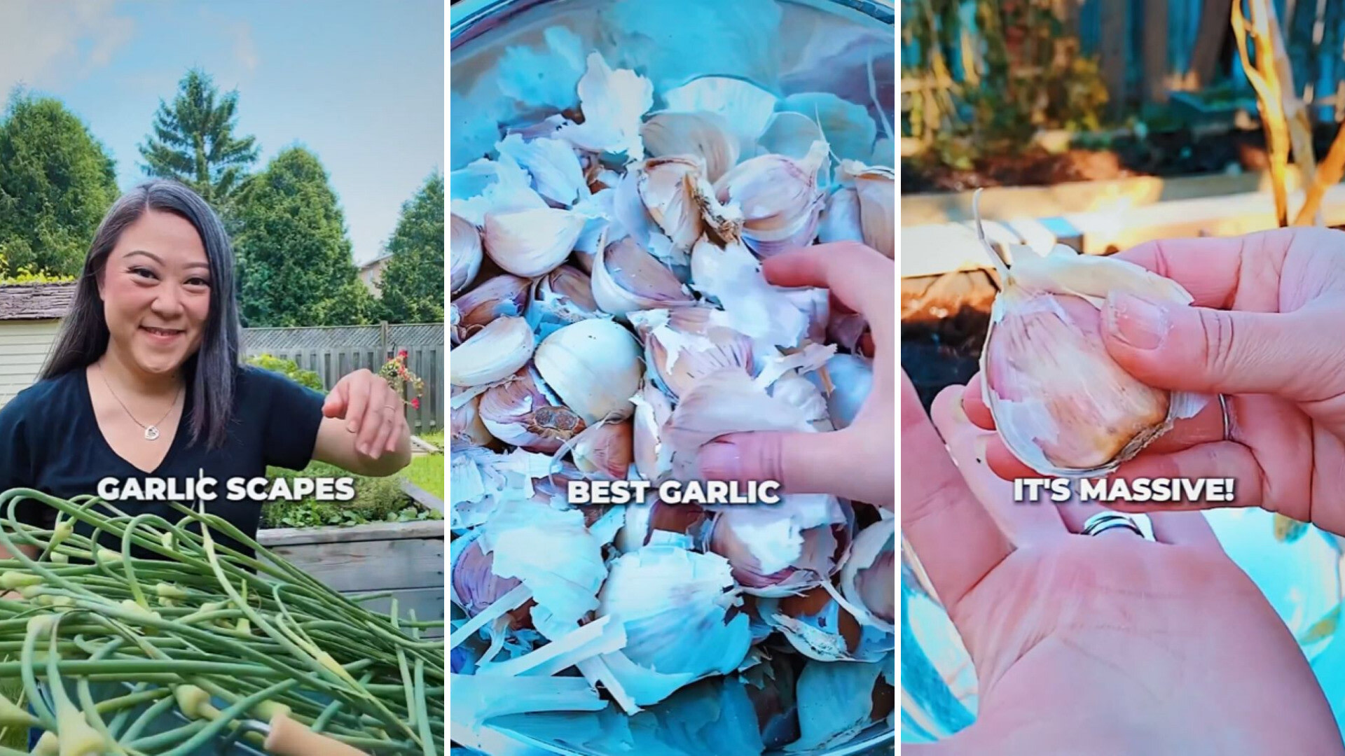 gardener-reveals-common-mistakes-most-people-make-when-growing-garlic