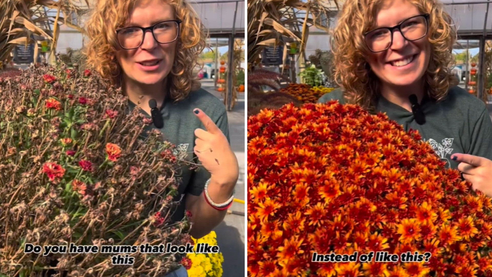 The video was shared on the Miller Flowers Garden Center Instagram account, which has over 68,000 followers.