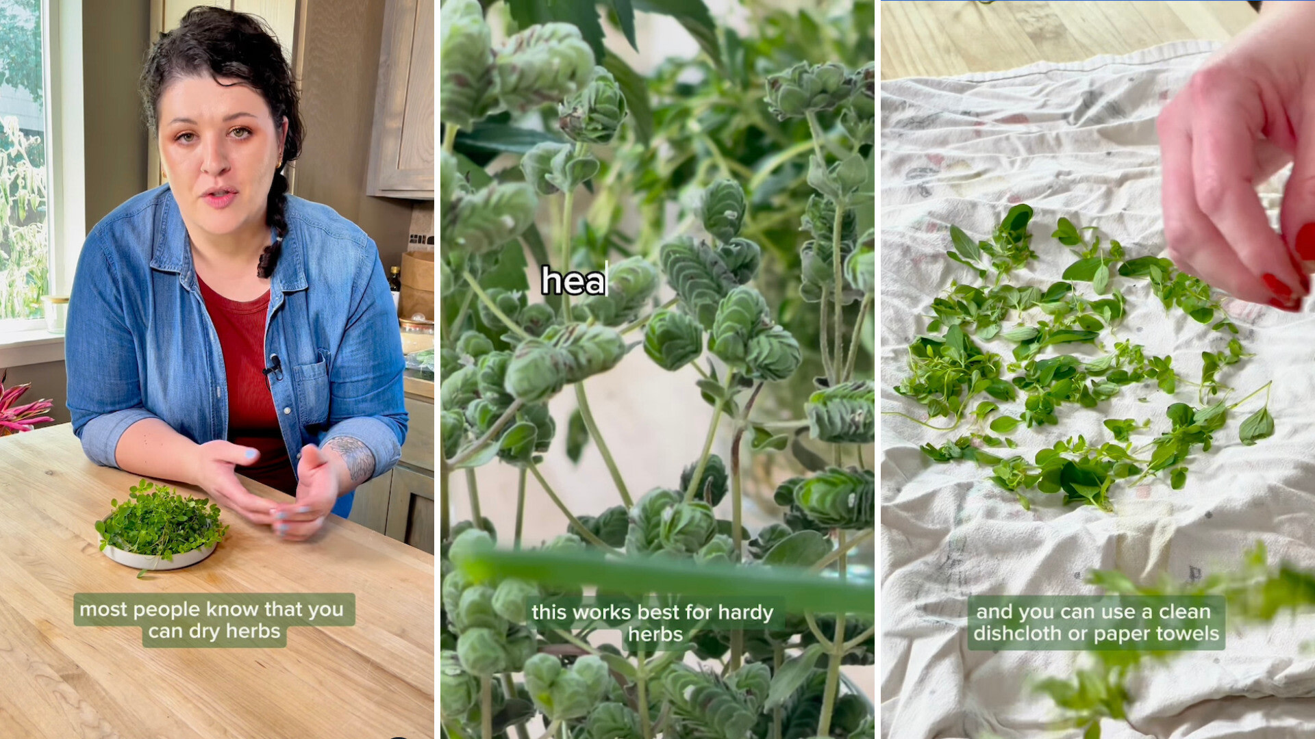 Cleaning And Preparing Herbs