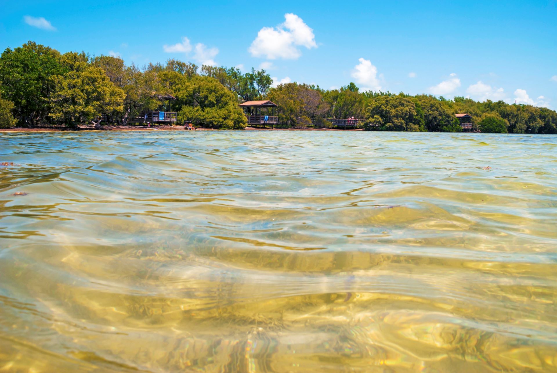 The discovery is an exciting one, even if you're not an ocean enthusiast.