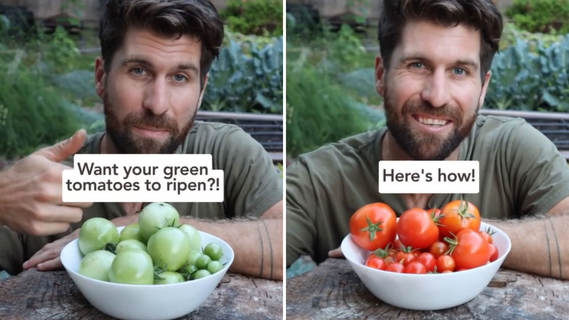 “Your tomatoes will be ripening for you to enjoy into the fall!”