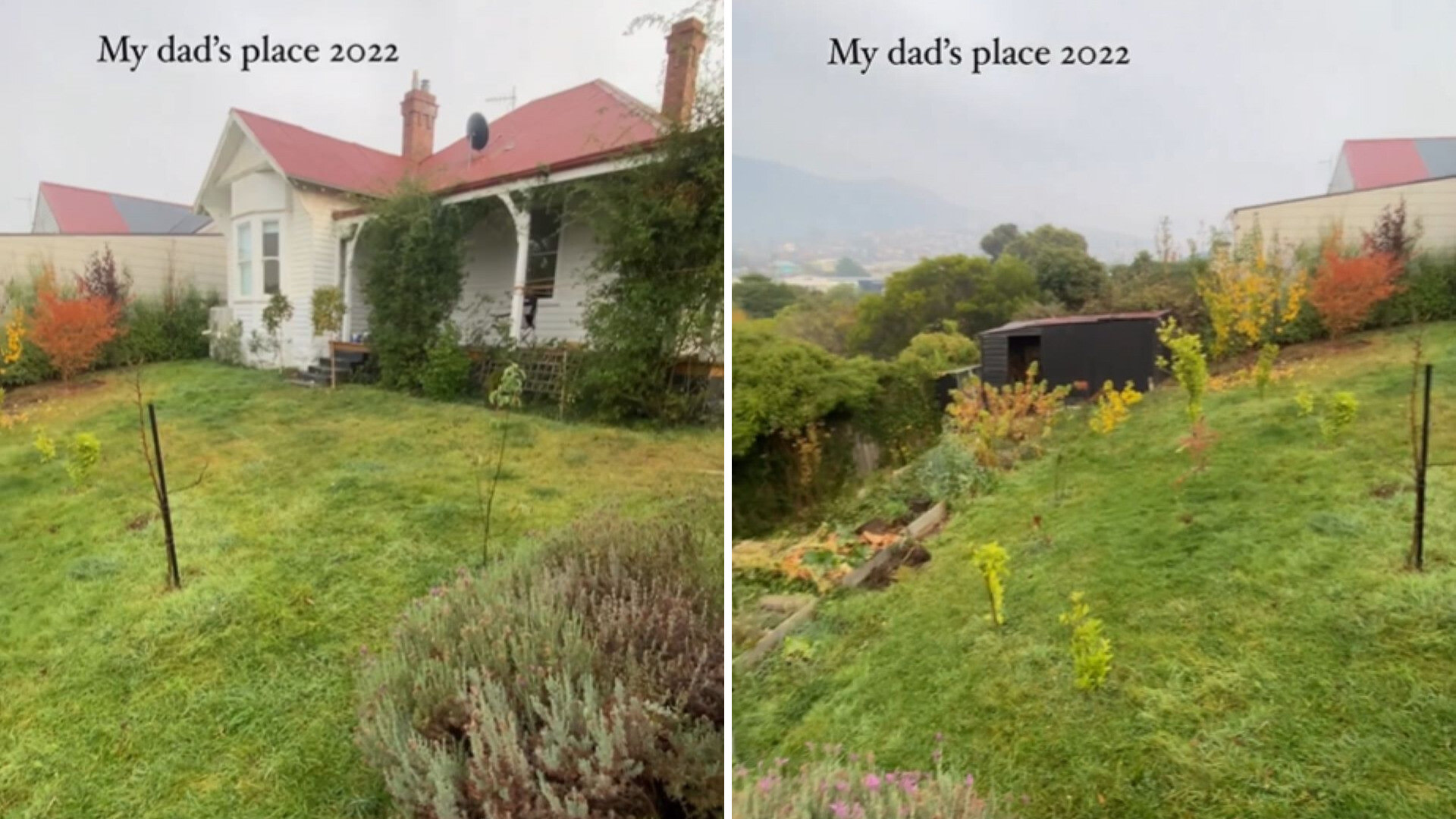 "Imagine if more backyards were transformed like this."