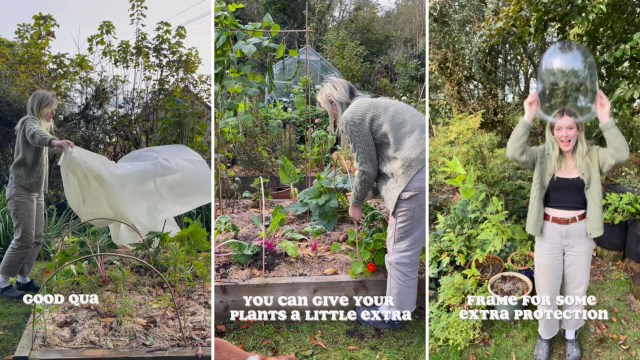 All hope is not lost for your fresh veggies once the temperatures start to drop.