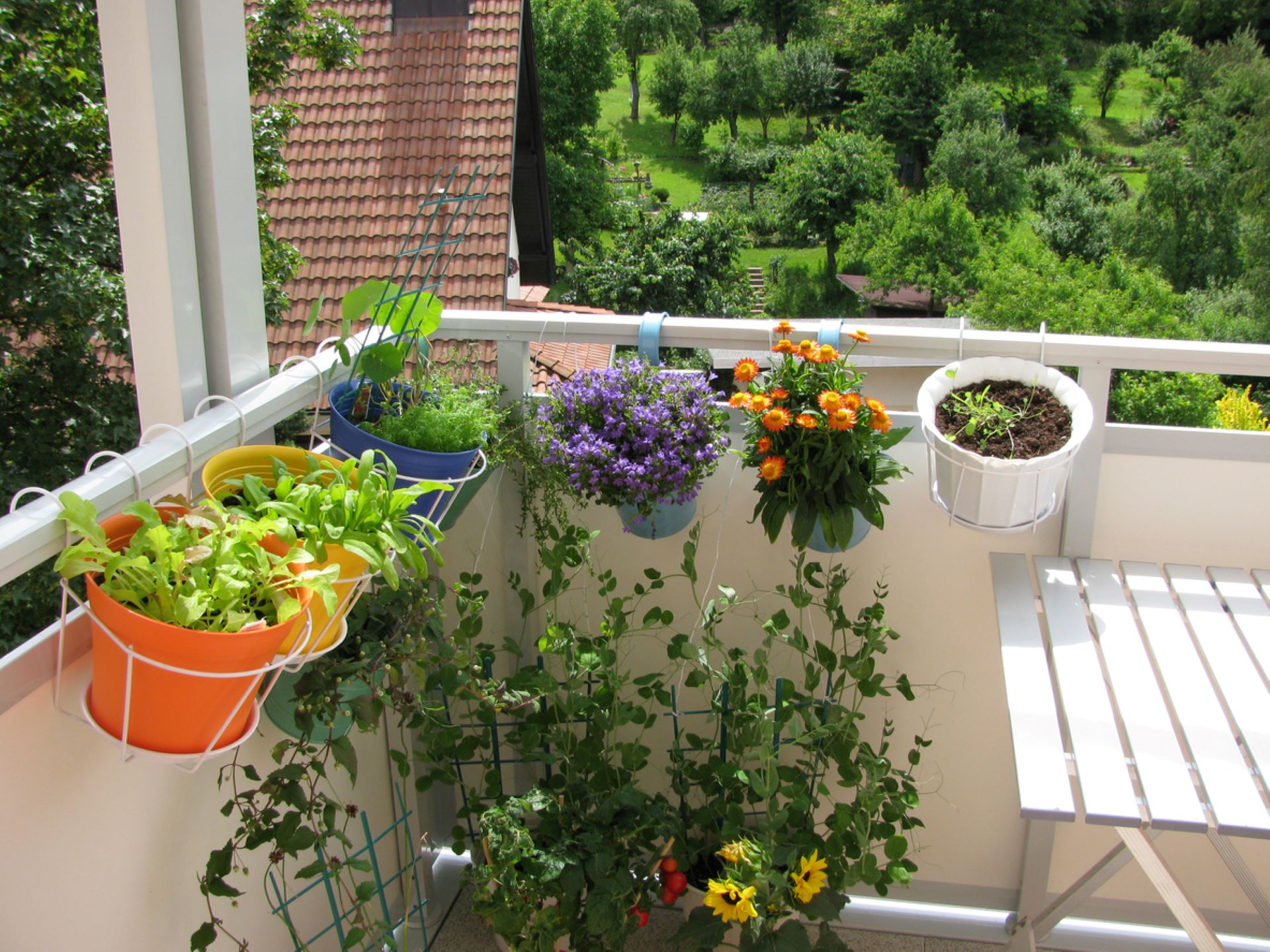 "Generally to an HOA, growing your own food means you're poor."