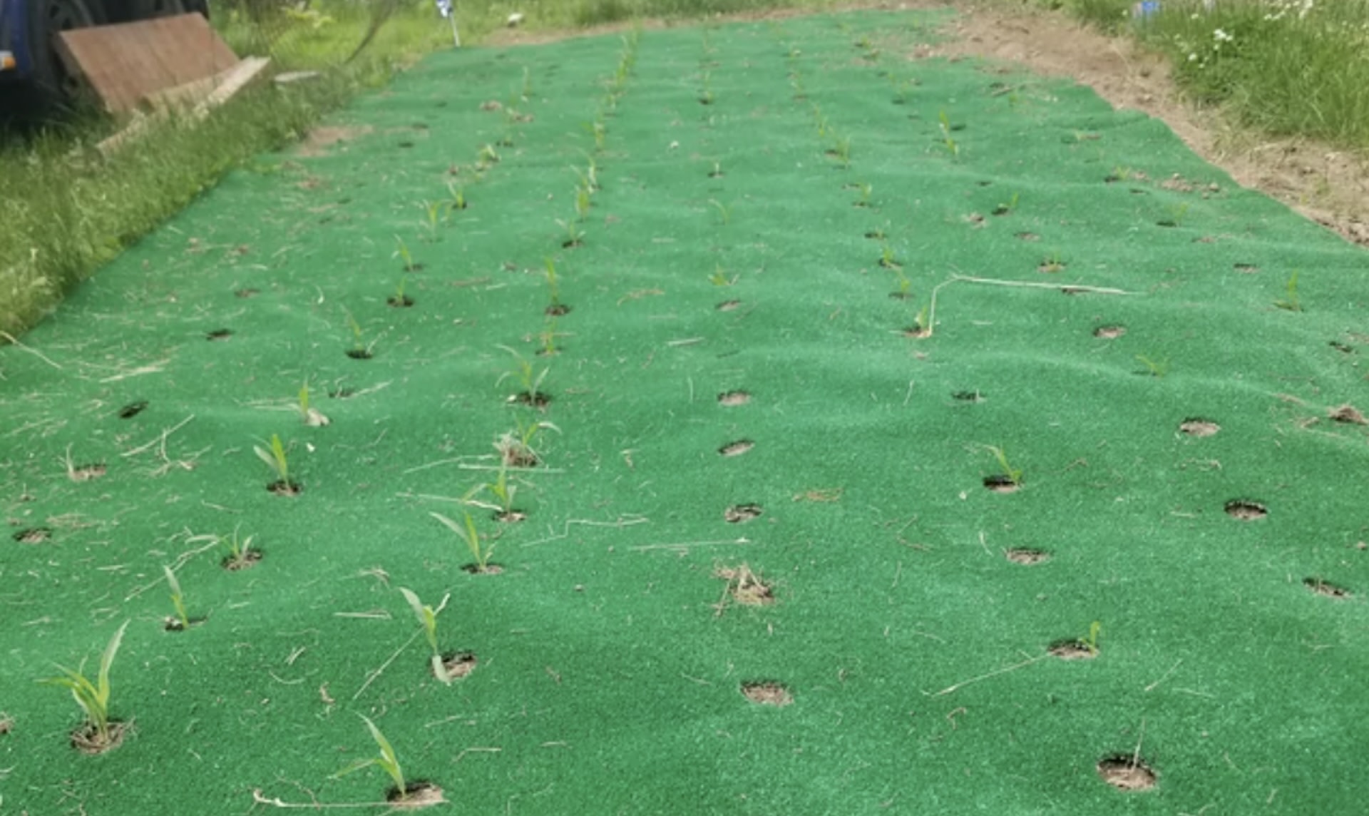 The lander said they wanted to save on mulch.