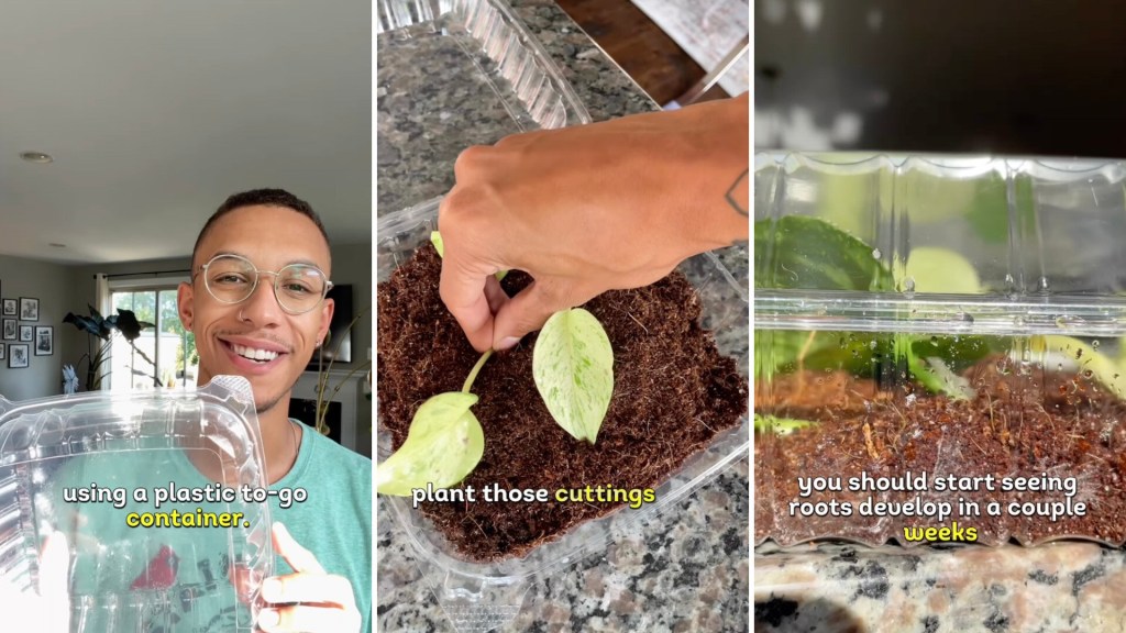 How To Re-purpose A Food Container As A Mini Greenhouse Kids