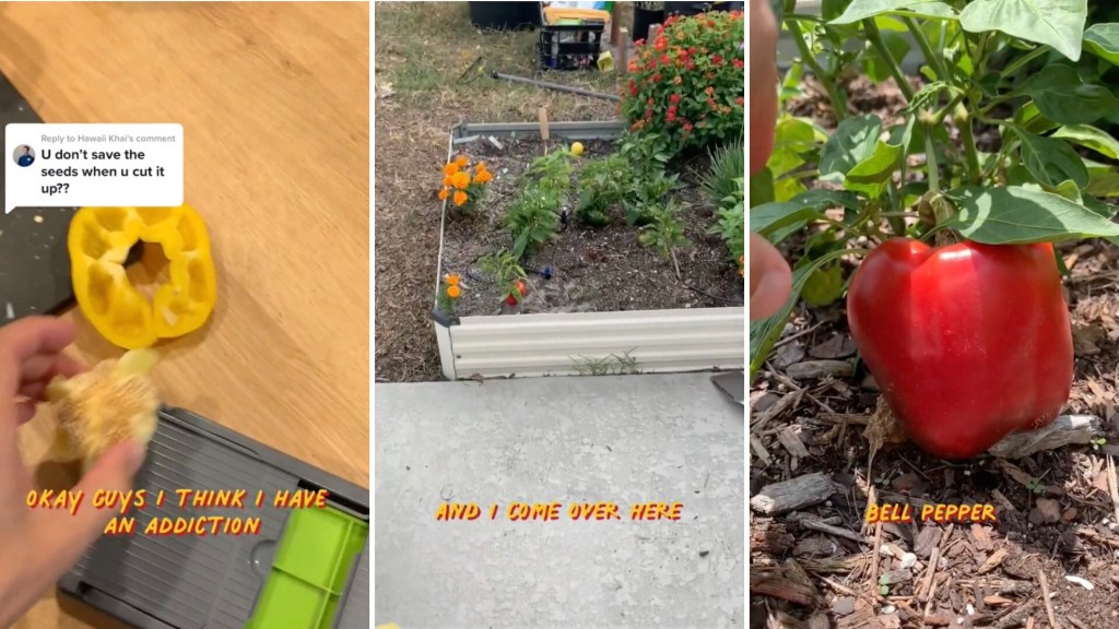 We Tried TikTok's Hack for Cutting Bell Peppers