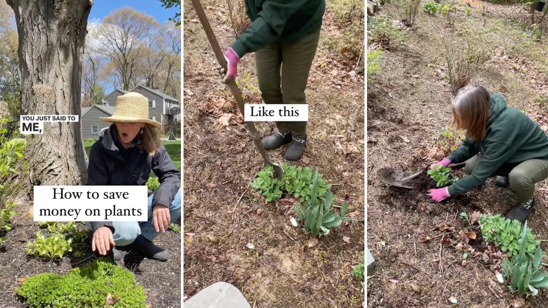 “You handled those plants like nurses handle newborns.”