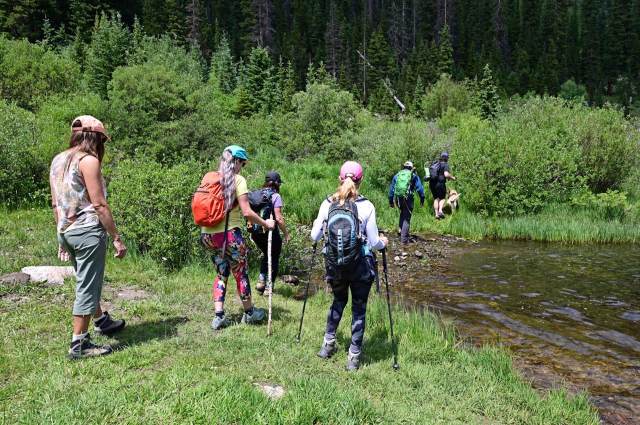 "The goal is to bring the forest closer to Black and Brown children."