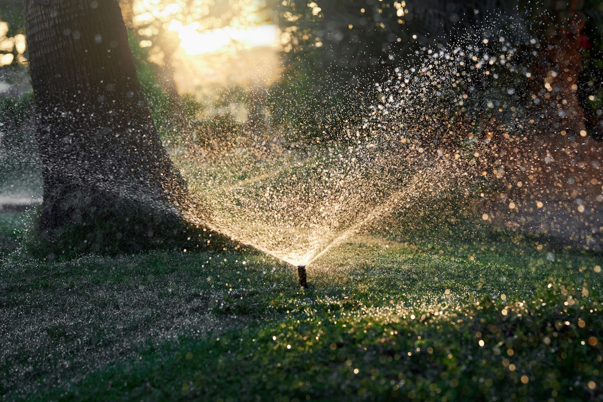 “I passed several houses and businesses and they had the sprinklers running on their lawn. During a rainstorm.”