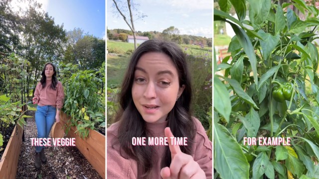 "They aren’t the only veggie plant leaves you can enjoy."