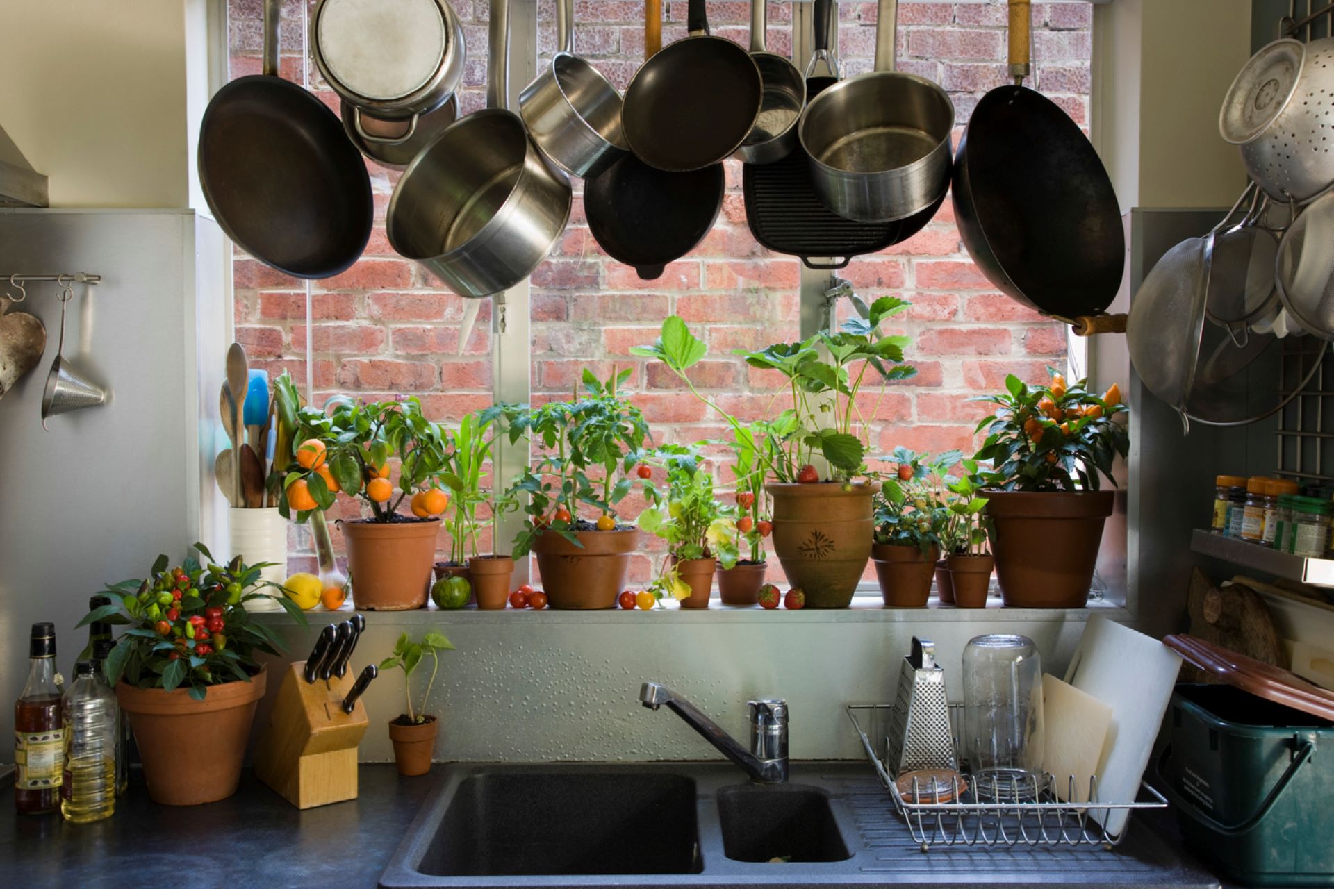 Health Concern: Non-Stick Pans Could Release Millions Of Microplastics,  Says Study