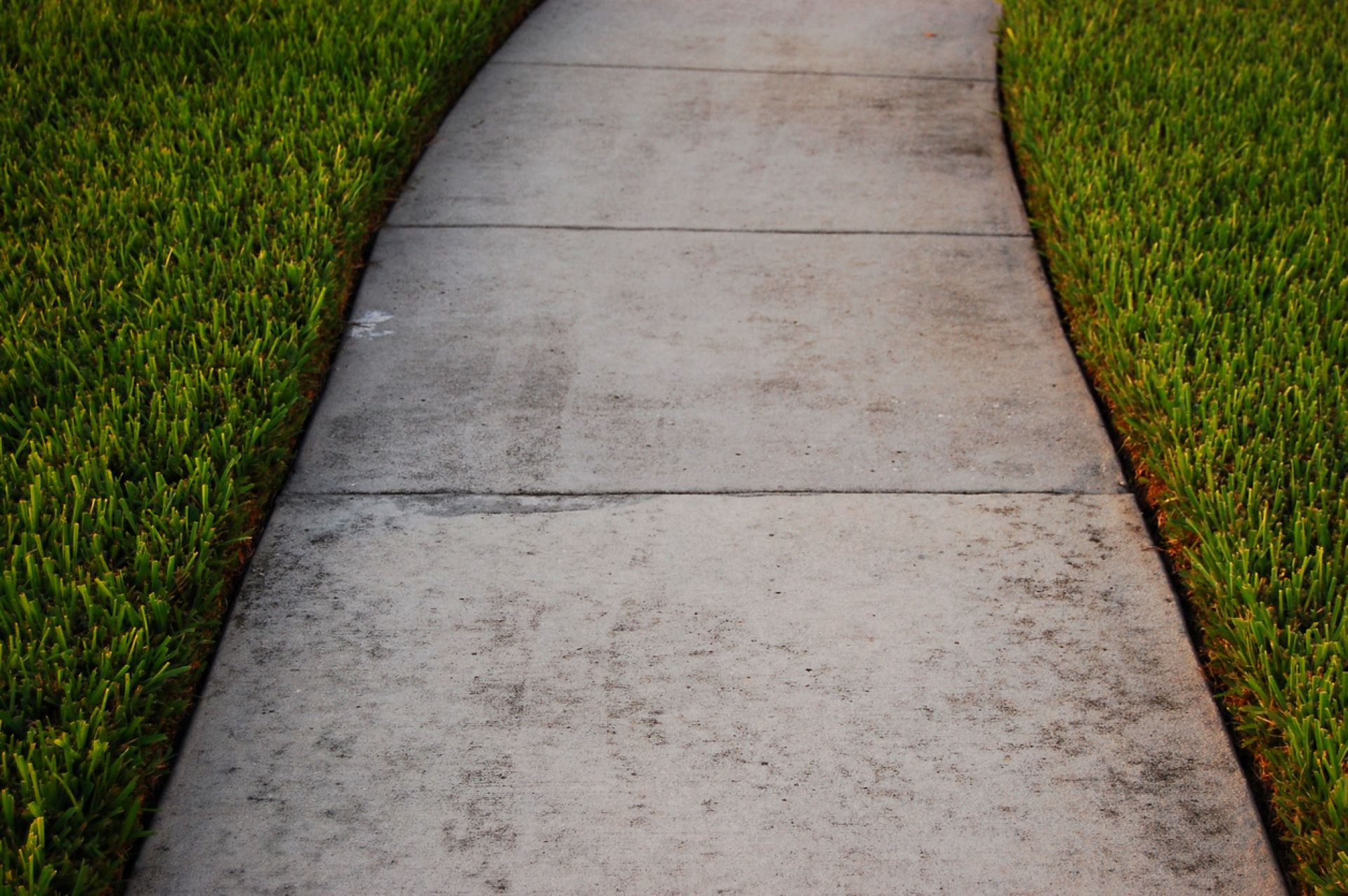 By beautifying this strip of land, they are creating a healthier ecosystem.