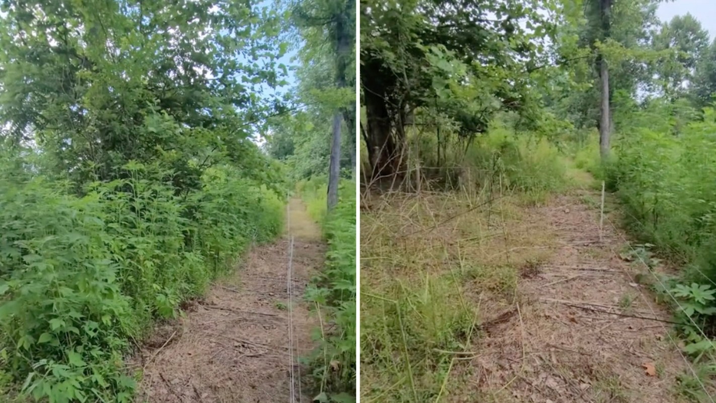 The farmer provided before-and-after footage of the area, showing a significant difference in the amount of messy weeds and clutter.