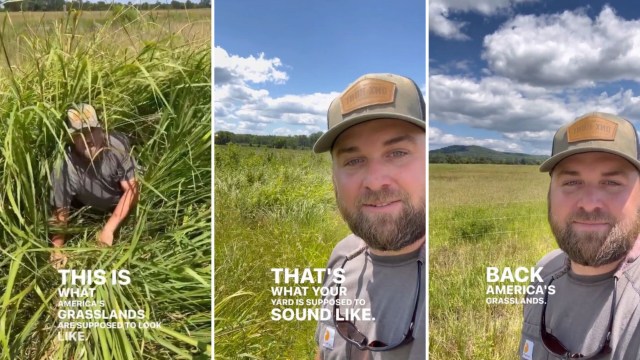 "This is what America's grasslands are supposed to look like."