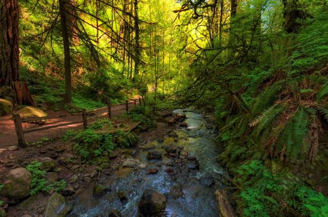 The Kehoes were sitting on one of the largest undeveloped tracts of land in Northwest Portland.