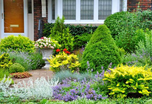 "One corner near the driveway and walkway tends to attract water."